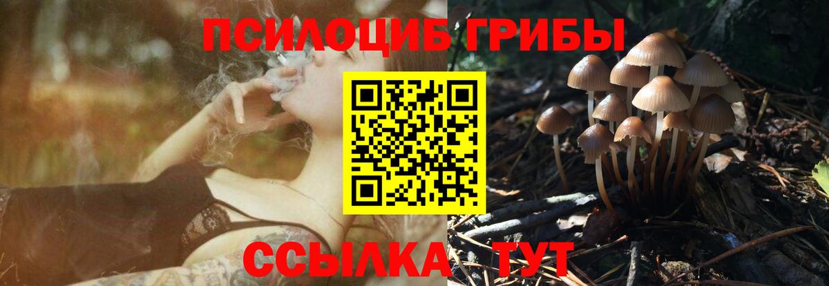 Галлюциногенные грибы мицелий Канаш